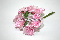 Декоративные цветы розовые